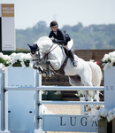 ~+ The equestrians +~