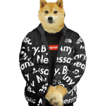 PokemonDripDog