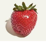 OFFICIAL WILLY THE STRAWBERRY GROUP
