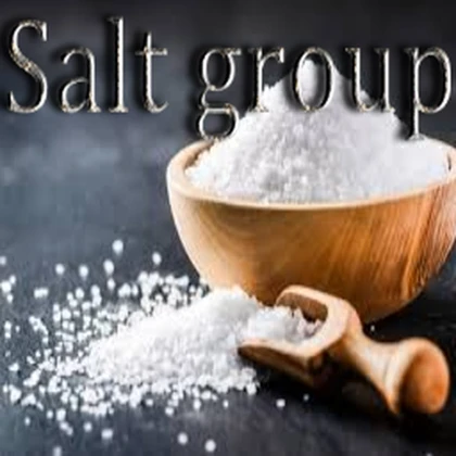 Salty Basics Hangout Roblox group icon