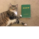 The Epic Meow