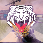 GrandMasters Elite Tigerz