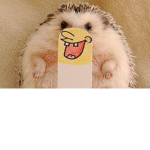 ryz hedgehog farm