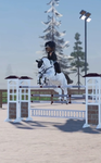 West lodge riding academy