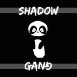 Shadow Gang/ savage