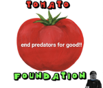 Tomato Foundation