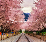 Blossom’s restaurant