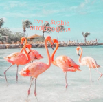 Eva ~ Sophie Shoutouts!!