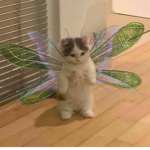 // atlas //