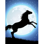 MoonStar Horse Academy