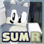 The SUM:R Team!