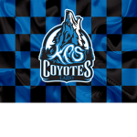 Lazi o Coyotes