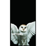 deftones boys