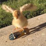 ɪɴᴀᴄᴛɪᴠᴇe