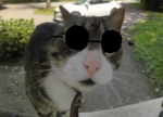 BrpHif