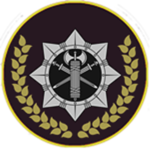Ukrainian Military Pоlice