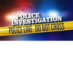 Robloxian Police and Investigation force.