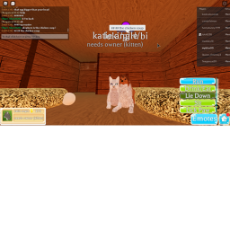 Cat's World! (Made For My Group!)