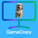 GameCrazy