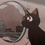 Moon_fairyy