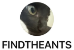 ANTSHAVMYYCOCONUTS