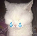 ariannaswrld