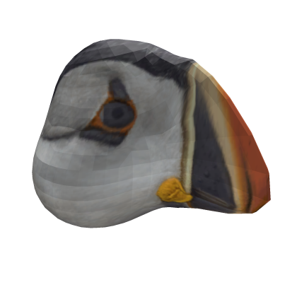 Puffin Head