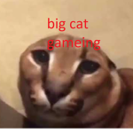 Pro gamers club Play good