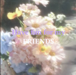 Have fun for my FRIENDS