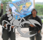 Agrupación Fuerzas Especiales “Alacrán”