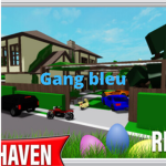 Brookhaven | Gang bleu
