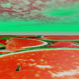 watermelon room