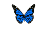 Leah's butterflies