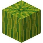 The Melongods