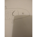 Fishing fish