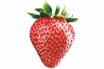 MR STRAW BERRY KING