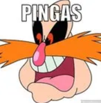 Pingas Pirates