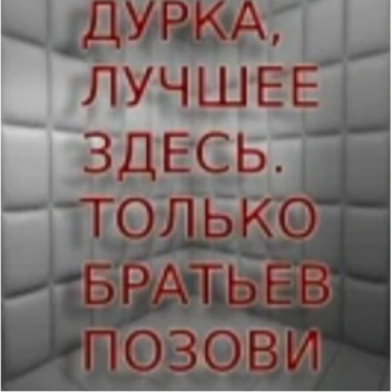 The Булка