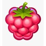 Wild rasberry HomeStore