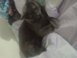 He hangen