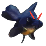 Poke's Sword Fight Tester Group