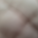 케로베로스 파