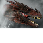 The World Of Dragon's