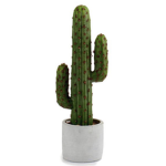 Spiky cactus studios