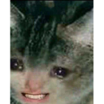 M0EEEEW