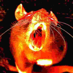 rät cült