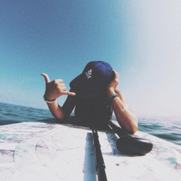 stay