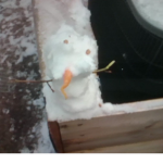 My oranges :>