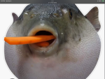 The fishies crew