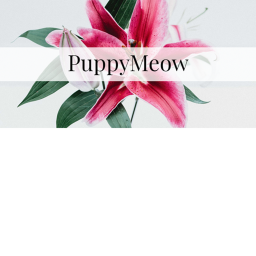 Puppymeow Hangout